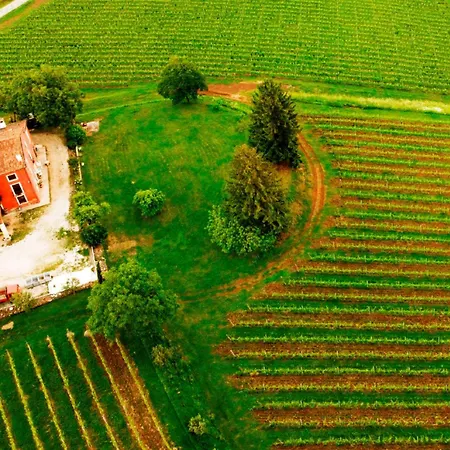 Masari Casa Rossa Vineyard Séjour à la ferme *